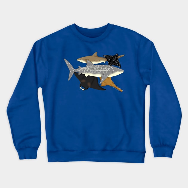 Elasmobranchs Crewneck Sweatshirt by HonuHoney